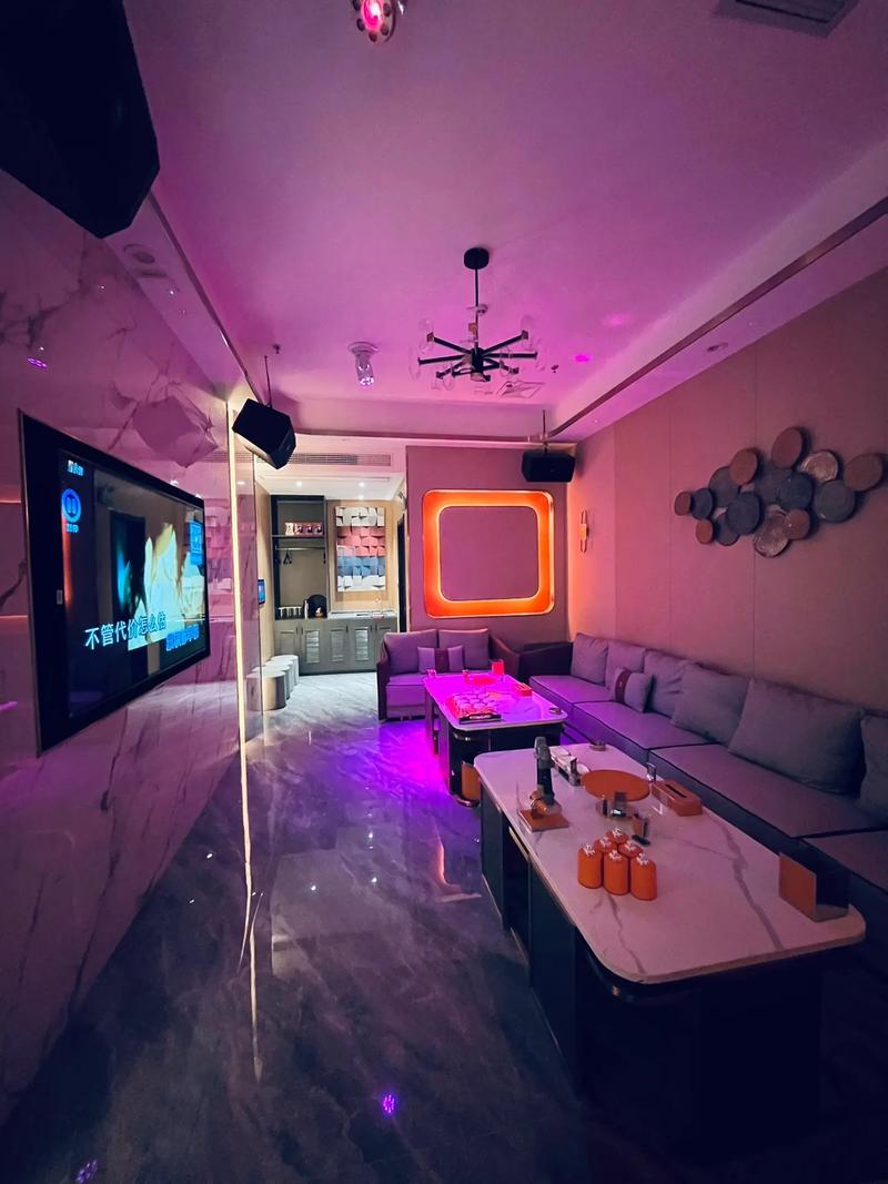 安康商务ktv畅享多样商务ktv玩法-宁陕县ktv预定